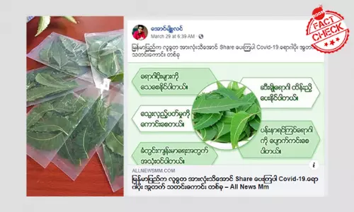 ကိုရိုနာနဲ့တမာရွက်ပြသနာ ကိုရိုနာနဲ့တမာရွက်ပြသနာ