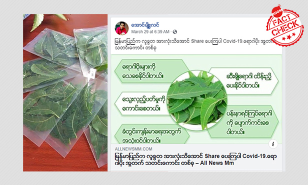 ကိုရိုနာနဲ့တမာရွက်ပြသနာ ကိုရိုနာနဲ့တမာရွက်ပြသနာ