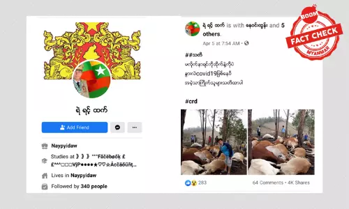 ကိုရိုနာကူးစက်ပြီး နွားများသေဆုံးဆိုတဲ့ သတင်းအမှား ကိုရိုနာကူးစက်ပြီး နွားများသေဆုံးဆိုတဲ့ သတင်းအမှား
