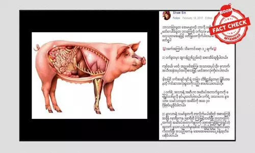 ၀က်သားစားသုံးခြင်းနဲ့ အချက်အလက်အမှားများ ၀က်သားစားသုံးခြင်းနဲ့ အချက်အလက်အမှားများ