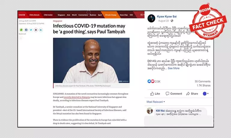 D614G ကိုဗစ် သန္ဓေပြောင်းပိုးဟာာ ကြာက်စရာမလိုဘူးဆိုတဲ့ ရေးသားချက်က ဘာတွေမှားသလဲ