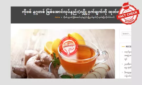 ဂျင်းစားရုံနဲ့ကိုဗစ် မပျောက်သလို Negative လည်းမပြောင်းနိုင်ပါဘူး ဂျင်းစားရုံနဲ့ကိုဗစ် မပျောက်သလို Negative လည်းမပြောင်းနိုင်ပါဘူး