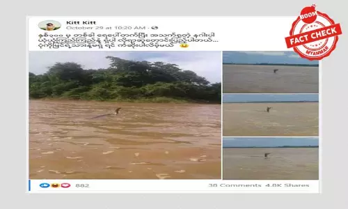 ထိုင်းနိုင်ငံကနဂါးအရုပ်ကို သက်ရှိနဂါးအဖြစ်ဝေမျှသူများရှိ