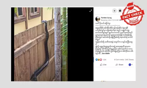 မြွေတွေတွေ့လာတာ ငလျင်နဲ့ဆက်စပ်သလား