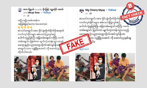 သပိတ်ဖြိုခွင်းခံရစဉ် ဒဏ်ရရရှိသူကို မိုင်းခွဲသူအဖြစ် သတင်းအမှားဖြန့်