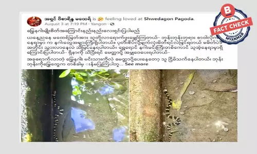 ရေမြွေတွေက မြွေနဂါးဖြစ်နိုင်သလား