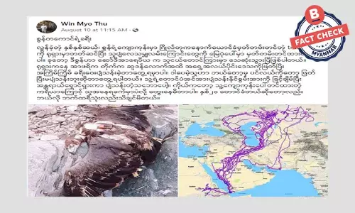 စွန်တစ်ကောင်ရဲ့ နှစ်ပေါင်းနှစ်ဆယ်ကျော် သွားလာခဲ့တဲ့ ခရီးရဲ့ မြေပုံဆိုတာ မဟုတ်ပါ စွန်တစ်ကောင်ရဲ့ နှစ်ပေါင်းနှစ်ဆယ်ကျော် သွားလာခဲ့တဲ့ ခရီးရဲ့ မြေပုံဆိုတာ မဟုတ်ပါ