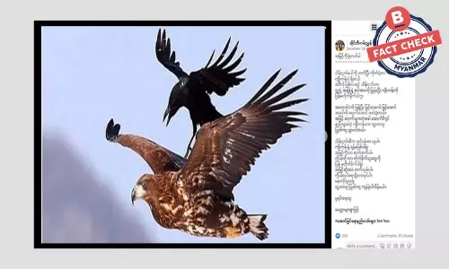 အဖန်ဖန် ဖြန့်ဝေနေတဲ့ ကျီးနဲ့လင်းယုန်ဇာတ်လမ်းထဲက အချက်အလက်အမှား အဖန်ဖန် ဖြန့်ဝေနေတဲ့ ကျီးနဲ့လင်းယုန်ဇာတ်လမ်းထဲက အချက်အလက်အမှား