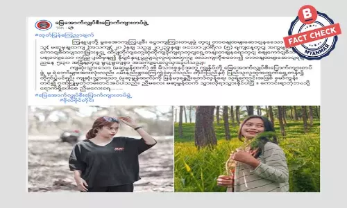 စစ်ကိုင်းတိုင်း ဆားတောင်မှာ ဆေးတပ်သူ တစ်ဦးကျဆုံးတယ်ဆိုတဲ့ သတင်းအတု