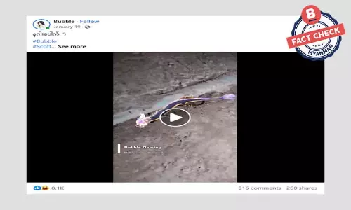 ကင်းလိပ်ချောတမျိုးကို နဂါးဆိုပြီး ဖြန့်ဝေနေတဲ့ သတင်းအမှား ကင်းလိပ်ချောတမျိုးကို နဂါးဆိုပြီး ဖြန့်ဝေနေတဲ့ သတင်းအမှား