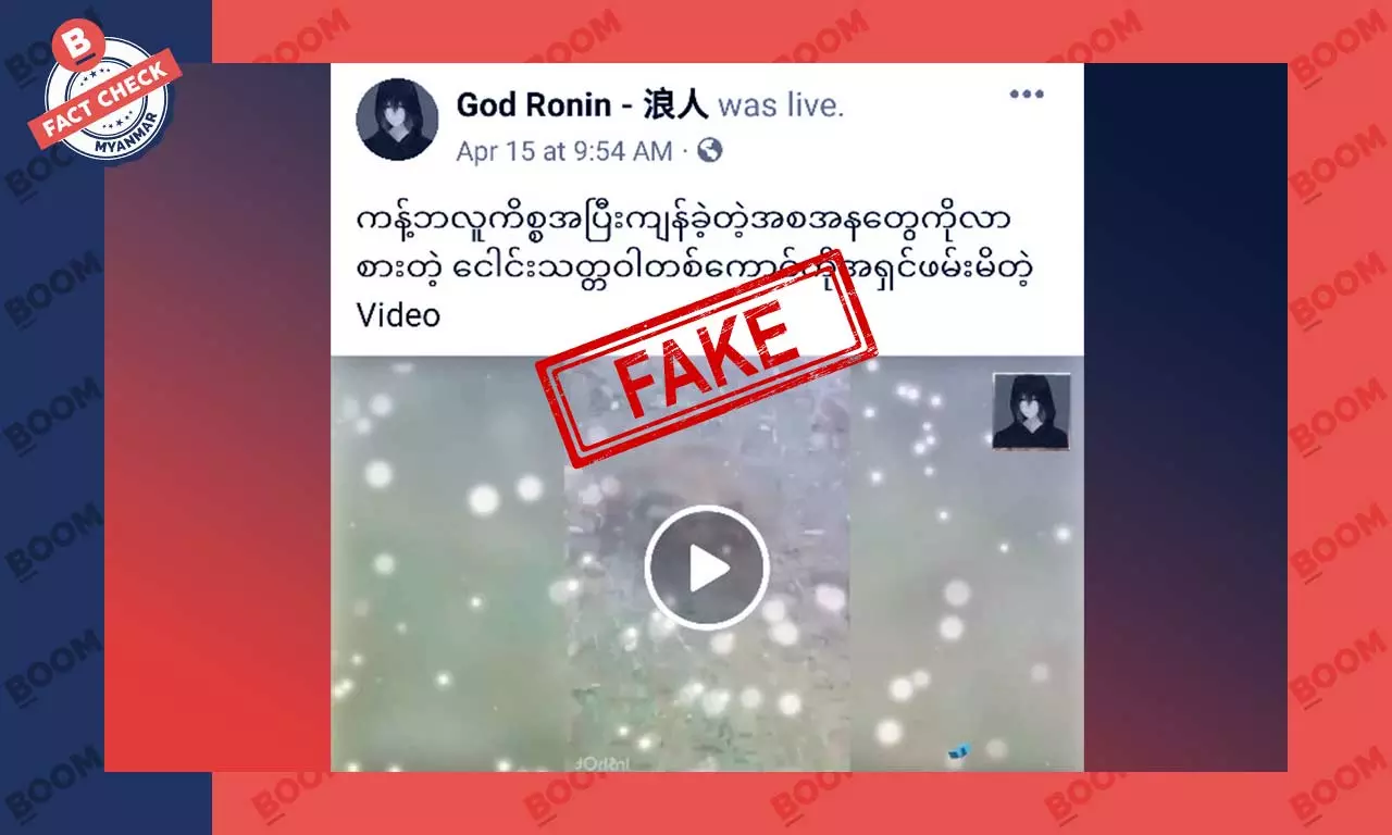ကန့်ဘလူက အကြွင်းအကျန်တွေလာစားတဲ့ ငေါင်းသတ္တဝါဆိုတဲ့ သတင်းအမှား ကန့်ဘလူက အကြွင်းအကျန်တွေလာစားတဲ့ ငေါင်းသတ္တဝါဆိုတဲ့ သတင်းအမှား