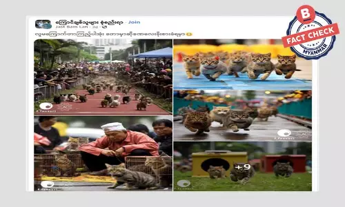 မလေးရှားမှာ ကြောင်အပြေးပြိုင်ပွဲ ကျင်းပခဲ့သလား မလေးရှားမှာ ကြောင်အပြေးပြိုင်ပွဲ ကျင်းပခဲ့သလား