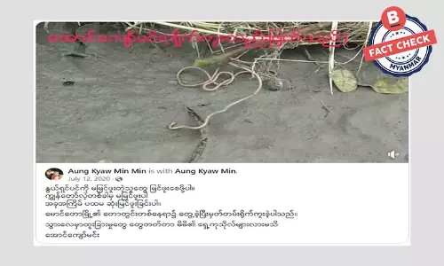 ကပ်ပါးကောင်ကို ဗွီဒီယိုရိုက်ယူကာ နွယ်ရှင်ပင်ဆိုပြီး ဖြန့်ဝေ ကပ်ပါးကောင်ကို ဗွီဒီယိုရိုက်ယူကာ နွယ်ရှင်ပင်ဆိုပြီး ဖြန့်ဝေ