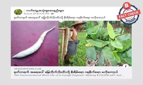 အာတာလွတ်ပင်နဲ့ အာတာလွတ်ဥတွေက မြွေဆိပ်ဖြေနိုင်တယ်ဆိုတဲ့ သတင်းအမှား