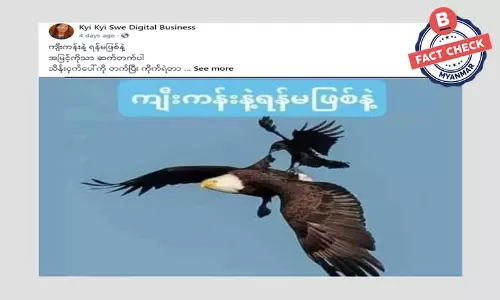 အချက်အလက်အမှားတွေပါတဲ့ ကျီးနဲ့လင်းယုန်ဇာတ်လမ်း ပုံပြင်