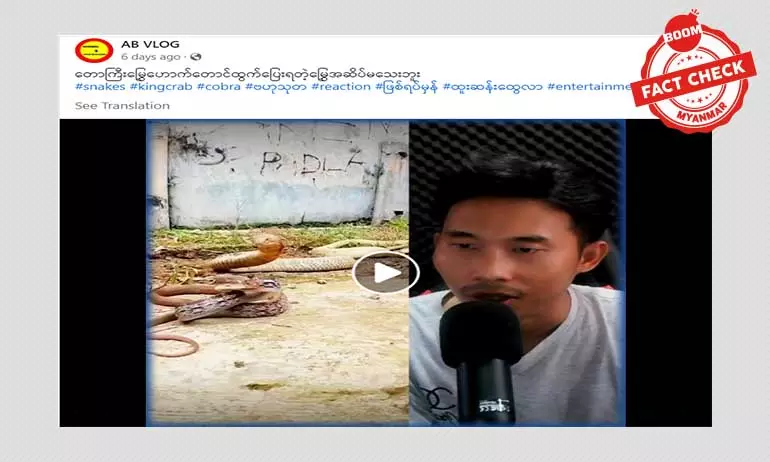 ငန်းစောင်းမြွေဟာ အဆိပ်ပြင်းတယ်ဆိုပြီး ဖြန့်ဝေနေတဲ့ အချက်အလက်အမှား ငန်းစောင်းမြွေဟာ အဆိပ်ပြင်းတယ်ဆိုပြီး ဖြန့်ဝေနေတဲ့ အချက်အလက်အမှား