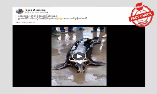 နွားတပိုင်း ငါးတပိုင်းဆိုပြီး ဖြန့်ဝေနေတဲ့ AI နည်းပညာနဲ့ ဖန်တီးထားတဲ့ ဗီဒီယိုဖိုင် နွားတပိုင်း ငါးတပိုင်းဆိုပြီး ဖြန့်ဝေနေတဲ့ AI နည်းပညာနဲ့ ဖန်တီးထားတဲ့ ဗီဒီယိုဖိုင်