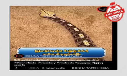 မြန်မာနိုင်ငံမှာ တွေ့ရတဲ့ ခေါင်းပြားမြွေဆိုပြီး ဖြန့်ဝေနေတဲ့ အချက်အလက်အမှား မြန်မာနိုင်ငံမှာ တွေ့ရတဲ့ ခေါင်းပြားမြွေဆိုပြီး ဖြန့်ဝေနေတဲ့ အချက်အလက်အမှား
