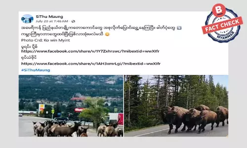 အမေရိကန် ပြည်နယ်အချို့က တောကောင်တွေ နေရာပြောင်းတယ်ဆိုပြီး ဖြန့်ဝေနေတဲ့ သတင်းအမှား အမေရိကန် ပြည်နယ်အချို့က တောကောင်တွေ နေရာပြောင်းတယ်ဆိုပြီး ဖြန့်ဝေနေတဲ့ သတင်းအမှား