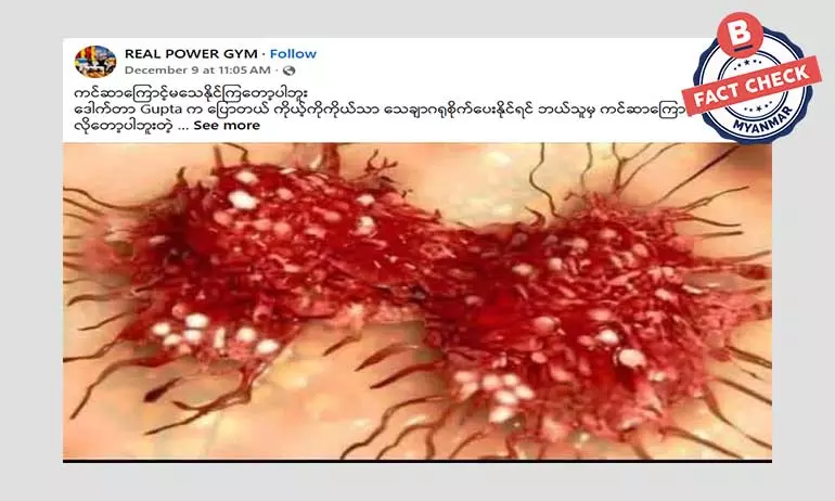 အခါခါ ပြန်လည်ဖြန့်ဝေနေတဲ့ သကြားနဲ့ ကင်ဆာဆဲလ် အကြောင်း အခါခါ ပြန်လည်ဖြန့်ဝေနေတဲ့ သကြားနဲ့ ကင်ဆာဆဲလ် အကြောင်း