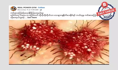 အခါခါ ပြန်လည်ဖြန့်ဝေနေတဲ့ သကြားနဲ့ ကင်ဆာဆဲလ် အကြောင်း အခါခါ ပြန်လည်ဖြန့်ဝေနေတဲ့ သကြားနဲ့ ကင်ဆာဆဲလ် အကြောင်း